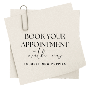 Book Your Appointment