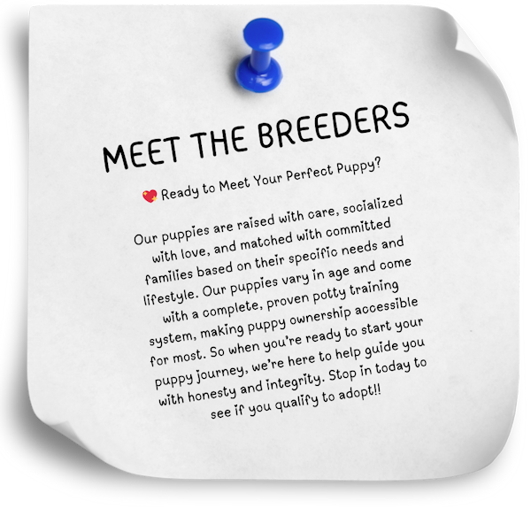 Meet the Breeders