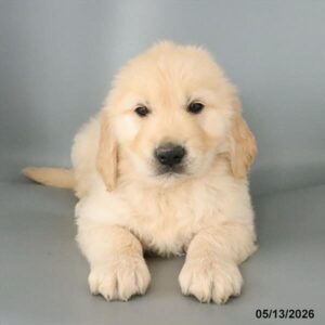 Spencer