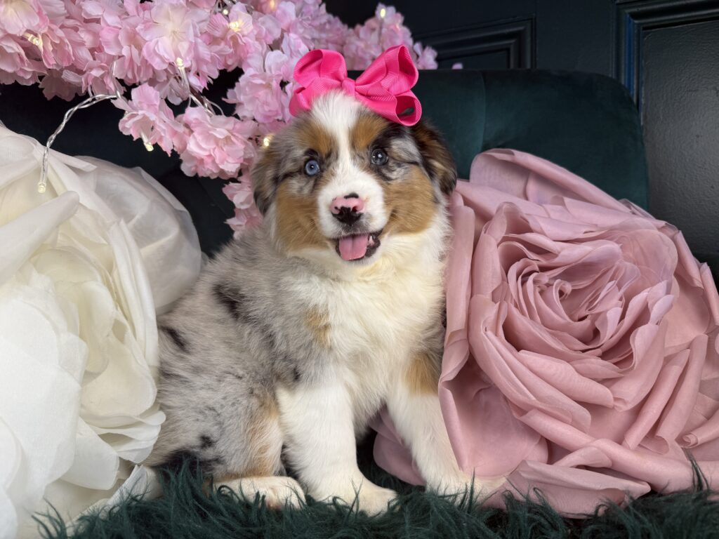 Sadie
