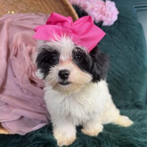 Delilah