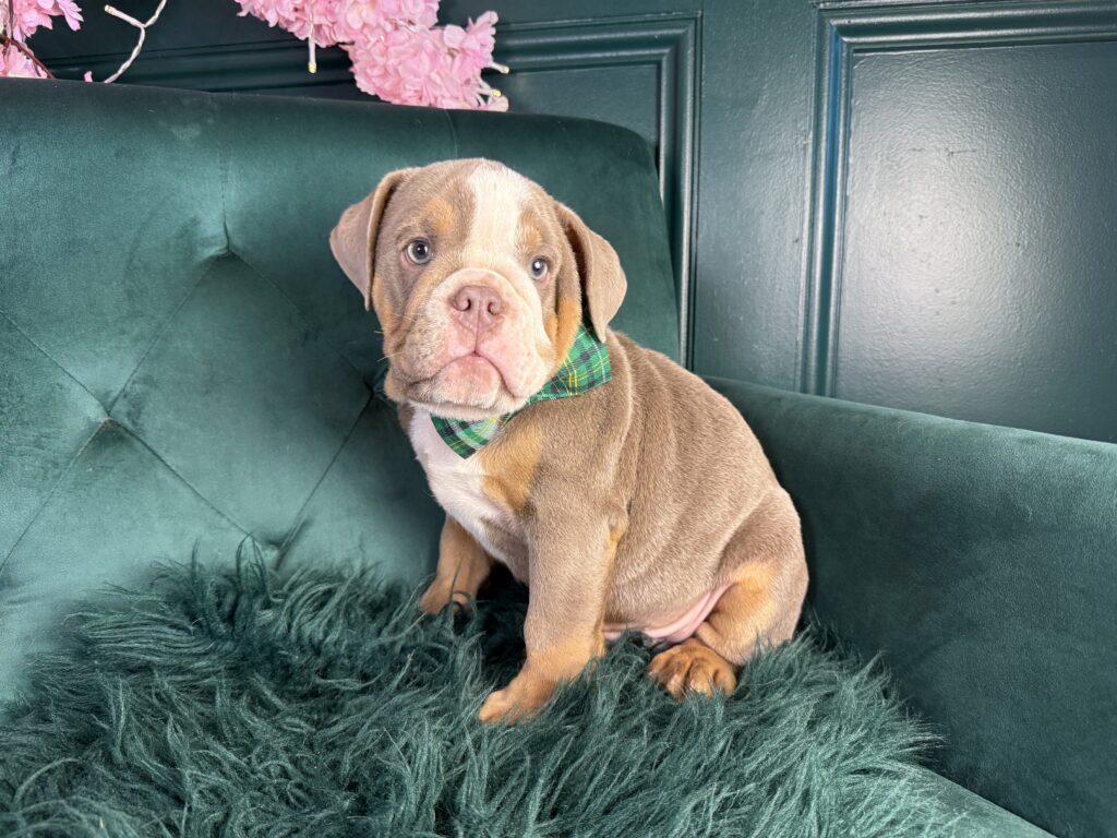 Winston 2
