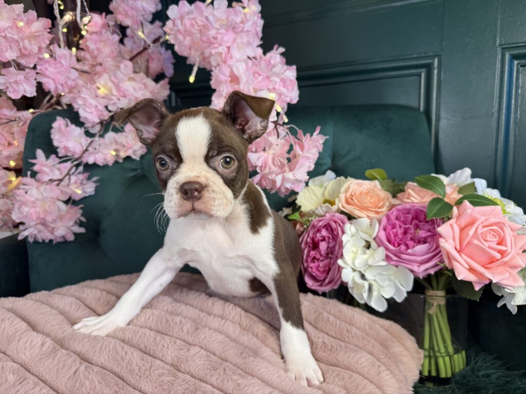 Effie