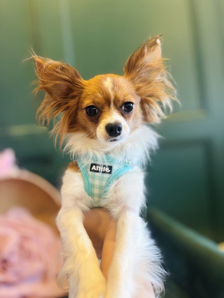 Mia