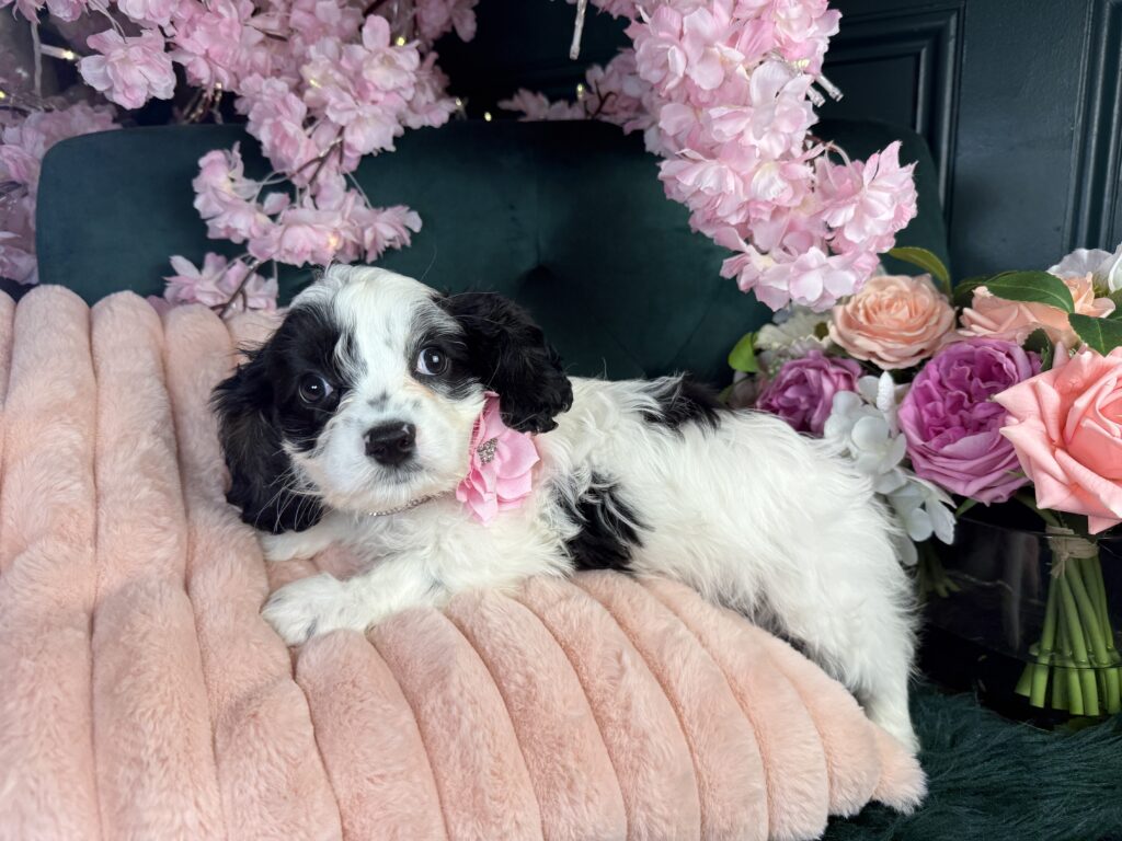 Millie