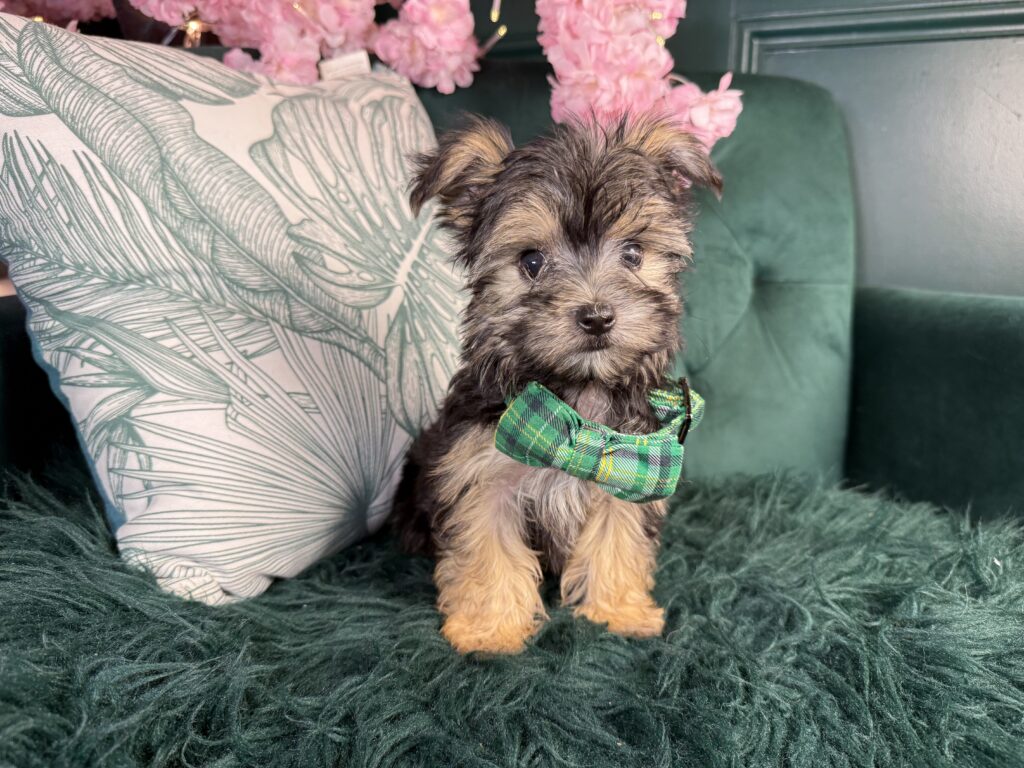 Bobby