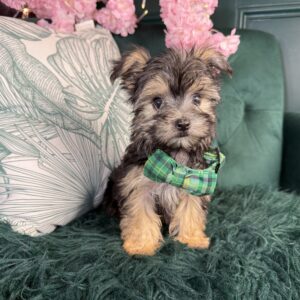 Bobby
