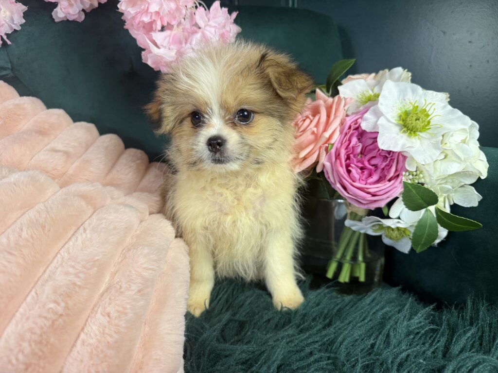 Tina