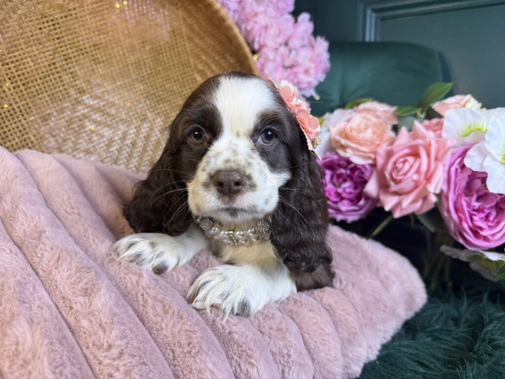 Winnie
