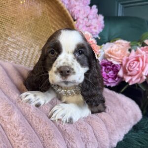 Winnie